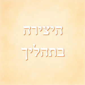 הספר  - לומדים מספרים